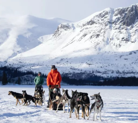 1080 x 1080 Vinter 24:25.5