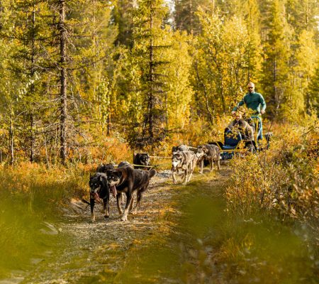 DSC06205-23773684-Foto_Nicolai_Gunner (kopia)