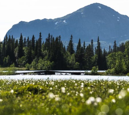 hemsedalsommer_UMtHW0uVNQFmlzRM